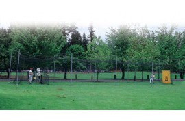 Batting Cage 70 Foot Frame, 5 standing posts - Forelle American Sports Equipment